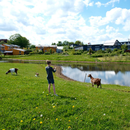 Andelssamfundet, landskab