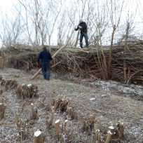 Bogruppe 3 - pilefæld